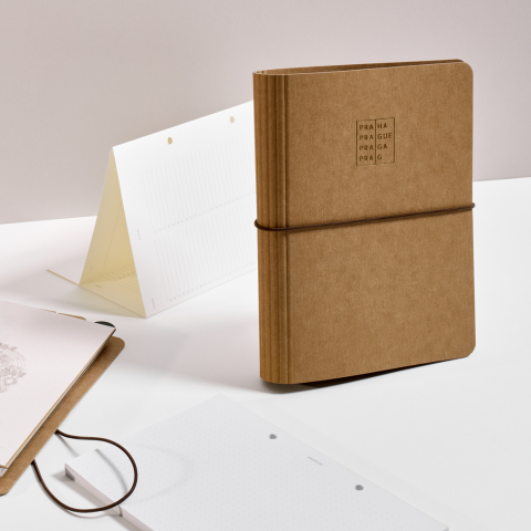 Magistrát hlavního města Prahy