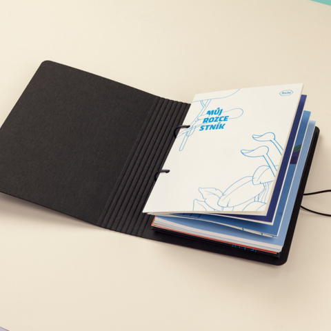 Biceps - můj rozcestník